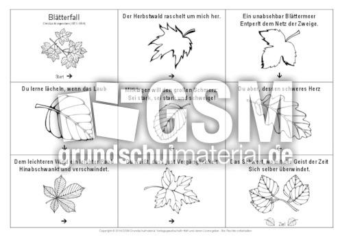 Domino-Blätterfall-Morgenstern-SW.pdf